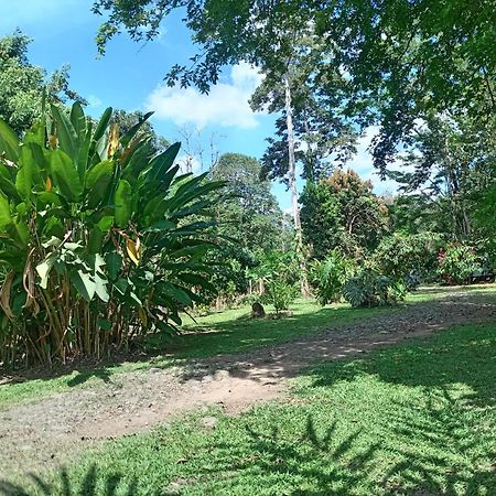 GuápilesGlamping Naioth公寓 外观 照片