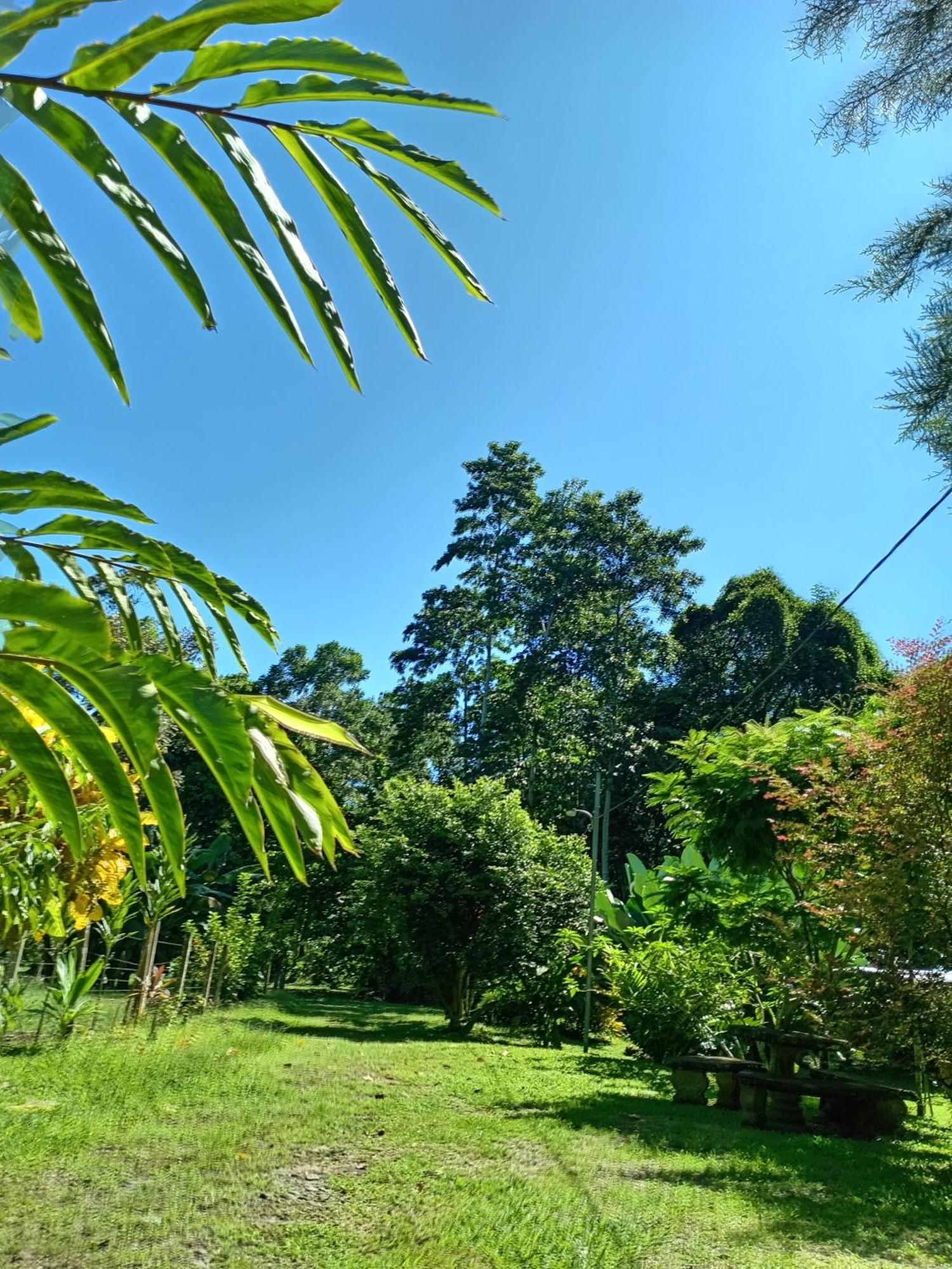 GuápilesGlamping Naioth公寓 客房 照片
