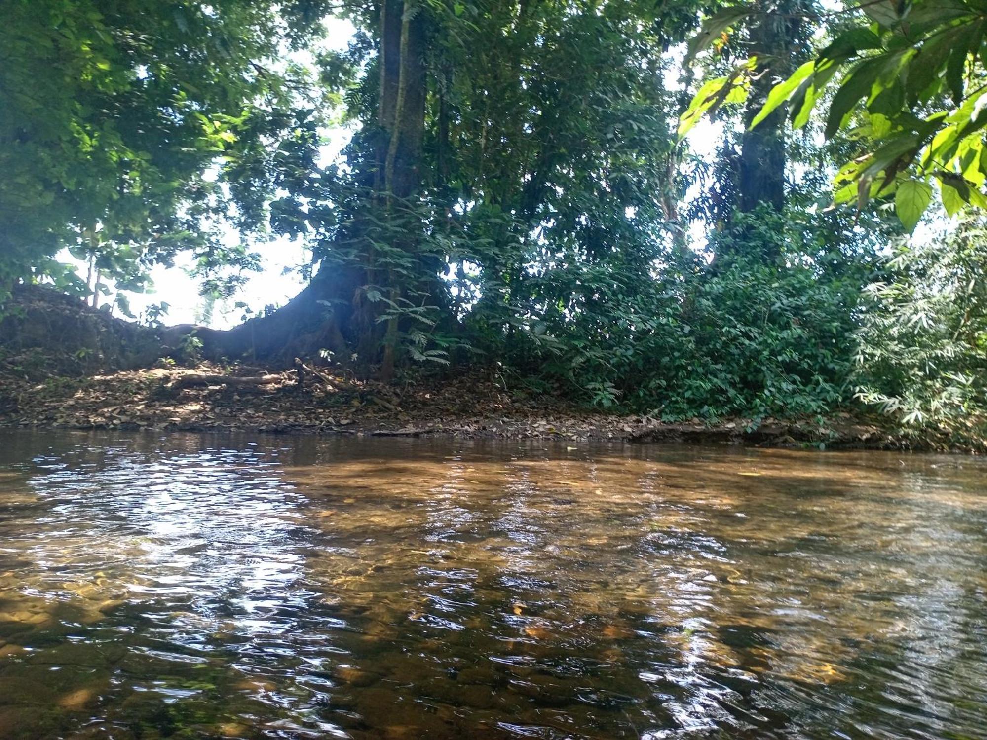 GuápilesGlamping Naioth公寓 外观 照片