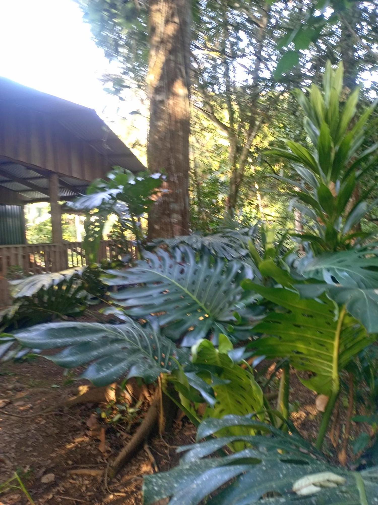 GuápilesGlamping Naioth公寓 外观 照片